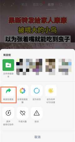 视频号转发如何取消原创的实用指南